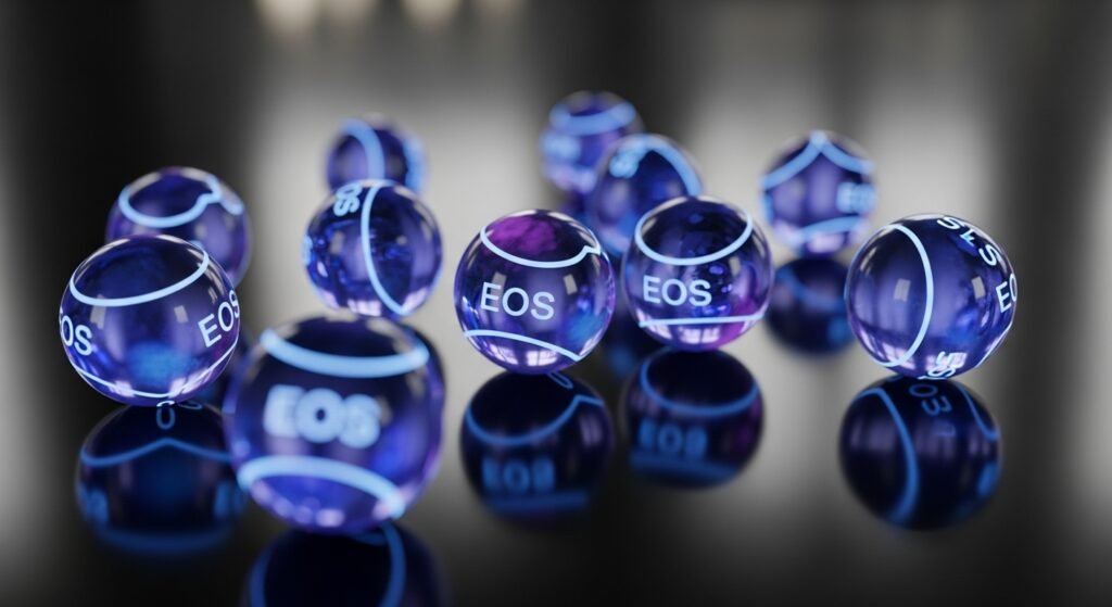 이오스파워볼 실시간 중계 서비스가 제공하는 핵심 기능 5가지 완벽 분석